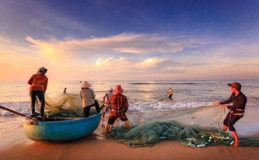 蕨菜炒腊肉的功效及做法