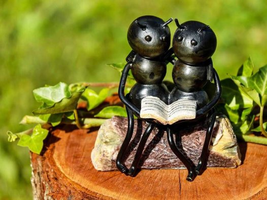 治疗消渴的单方验方