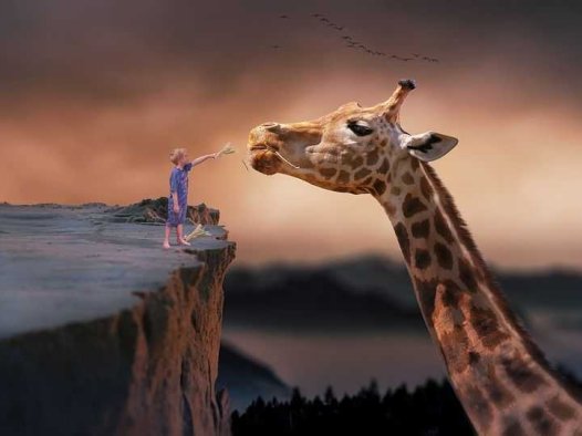 心衰黄疸,通阳行水