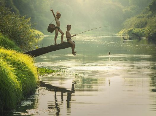 辨病治心悸,审证拟效方