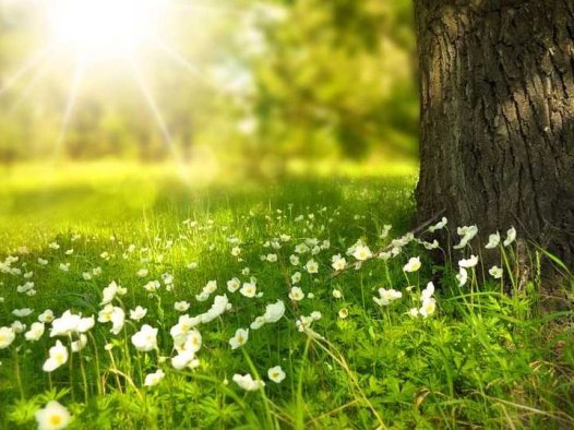 林初岳的灸疗方案