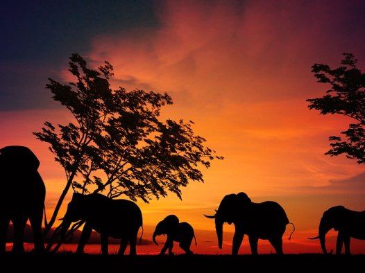 经穴系统生成文档模板