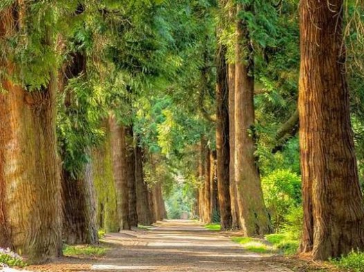 黄星潜的灸疗方案（16/08/2024）