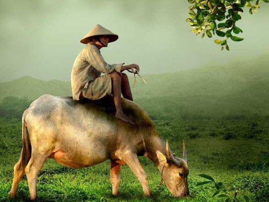 的灸疗方案（23/03/2024）