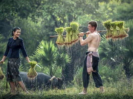 陈志宽的灸疗方案（27/03/2024）