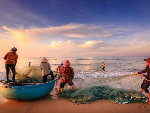 萝拉的灸疗方案（18/08/2024）