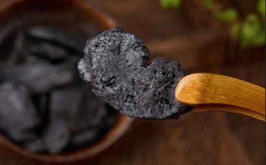 论益寿延年的地黄，兼论苏轼临终前给自己开的最后一个方子