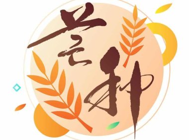 芒种——天气炎热,清淡饮食是关键