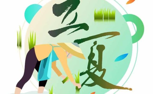 立夏——养护心脏,多饮汤水防心火