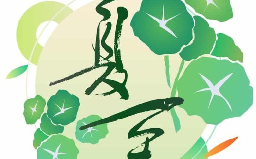 夏至——调养身心,睡好午觉精神足