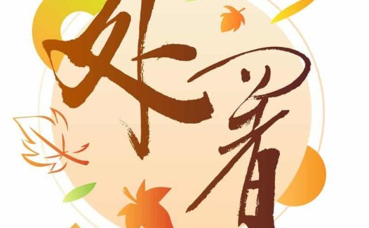 处暑——调理作息,润燥慎防“秋老虎”