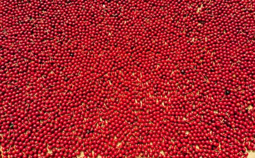 八仙酒系列：何簪